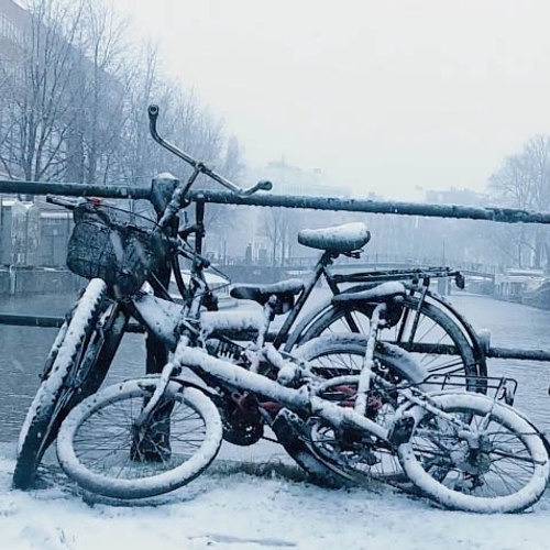 Web Draait Door: Sneeuw In Amsterdam