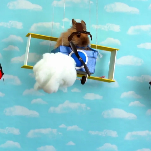 Web Draait Door: Fuzzy Bunny is een gevechtsvlieger