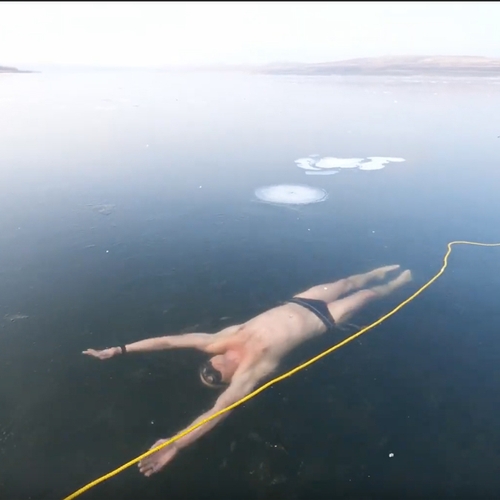Web Draait Door: duiker zwemt meters onder het ijs door