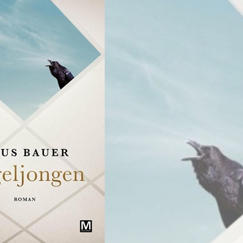 Vijfde Boek: Vogeljongen - Guus Bauer