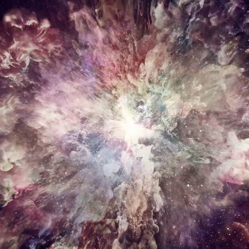Web Draait Door: Supernova in een aquarium