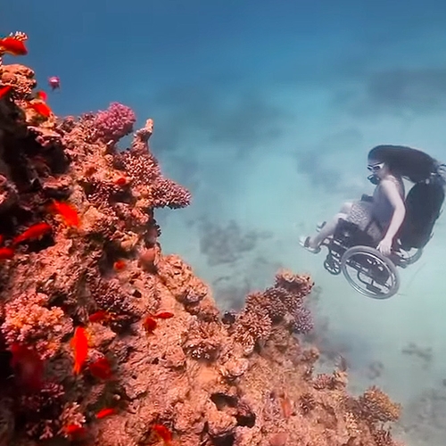 Web Draait Door: duiken in een rolstoel