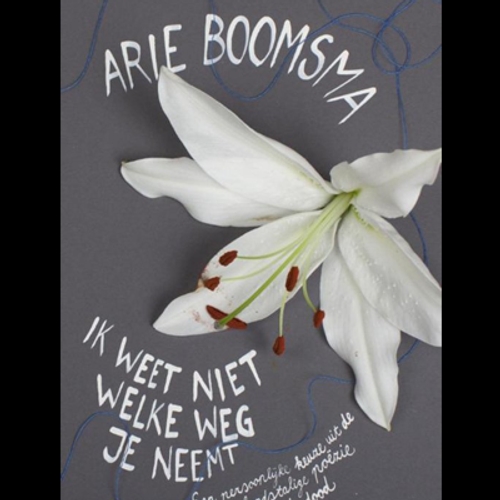 Arie Boomsma - Ik weet niet welke weg je neemt