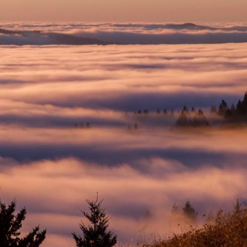 Afbeelding van Web Draait Door: Mooie mist