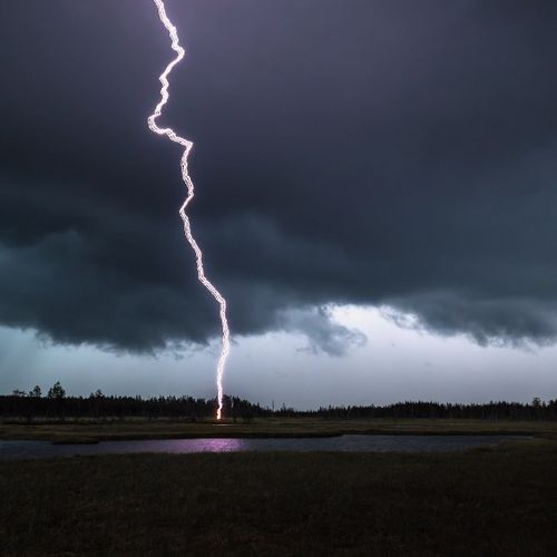 Afbeelding van Web Draait Door: Finse stormen